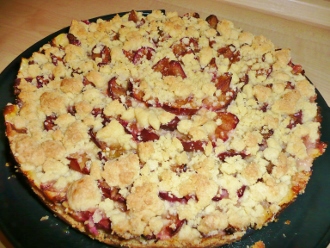 Zwetschgen-Pudding-Streuselkuchen